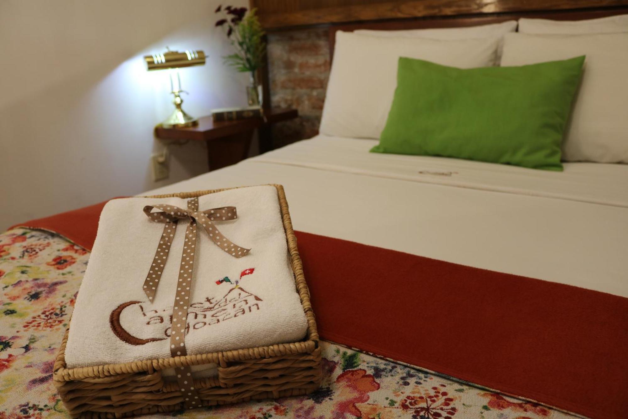 Chalet Del Carmen, Coyoacan Mexico City Eksteriør billede