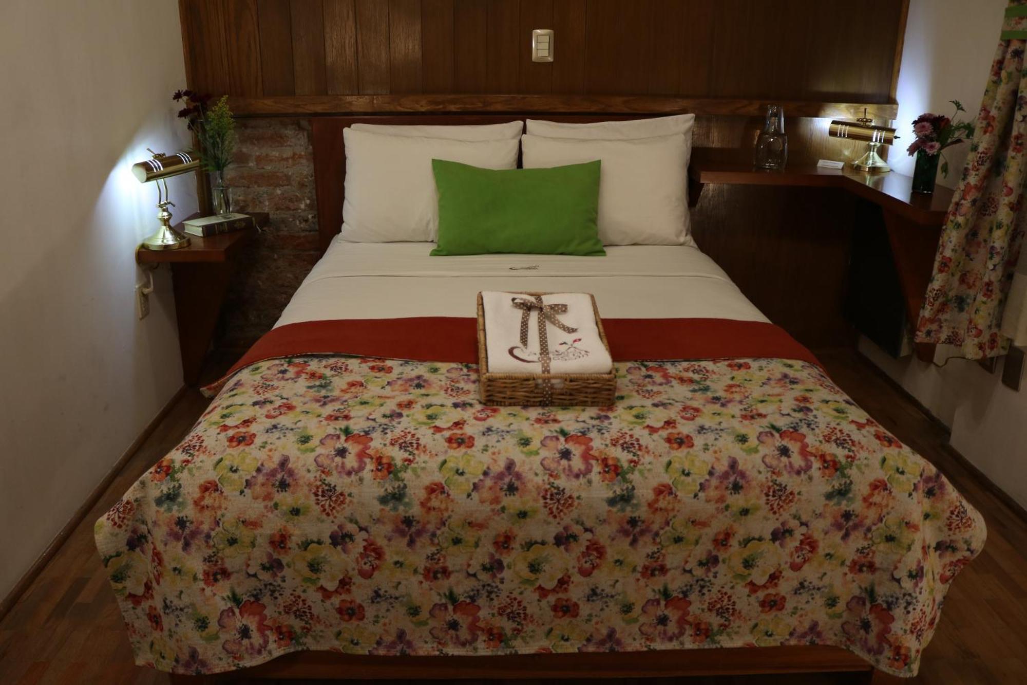 Chalet Del Carmen, Coyoacan Mexico City Eksteriør billede
