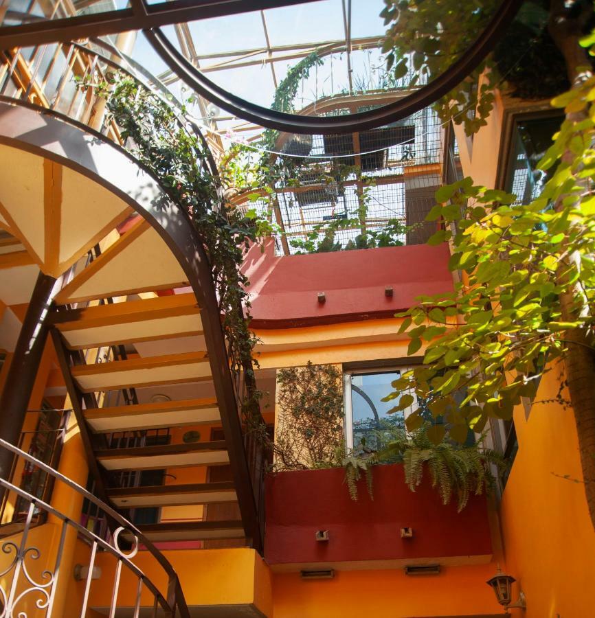 Chalet Del Carmen, Coyoacan Mexico City Eksteriør billede